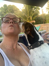 Load image into Gallery viewer, Dog Boarding (cost per day of boarding)