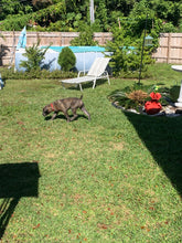 Load image into Gallery viewer, Dog Boarding (cost per day of boarding)