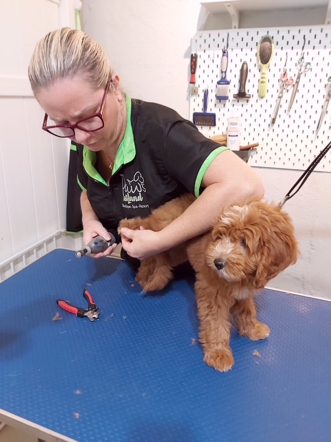 Nail Trim & File