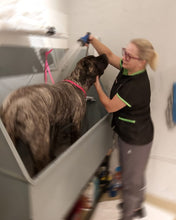 Load image into Gallery viewer, Dog Aromatherapy Bath
