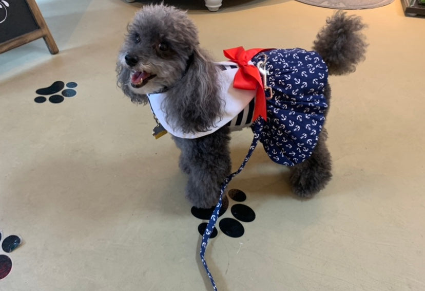 Dog Harness Dresses Nautical Anchors