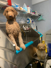 Load image into Gallery viewer, Dog Aromatherapy Bath
