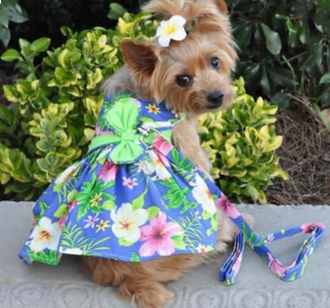 Dog Harness Dress Blue Lagoon Hawaiian Hibiscus