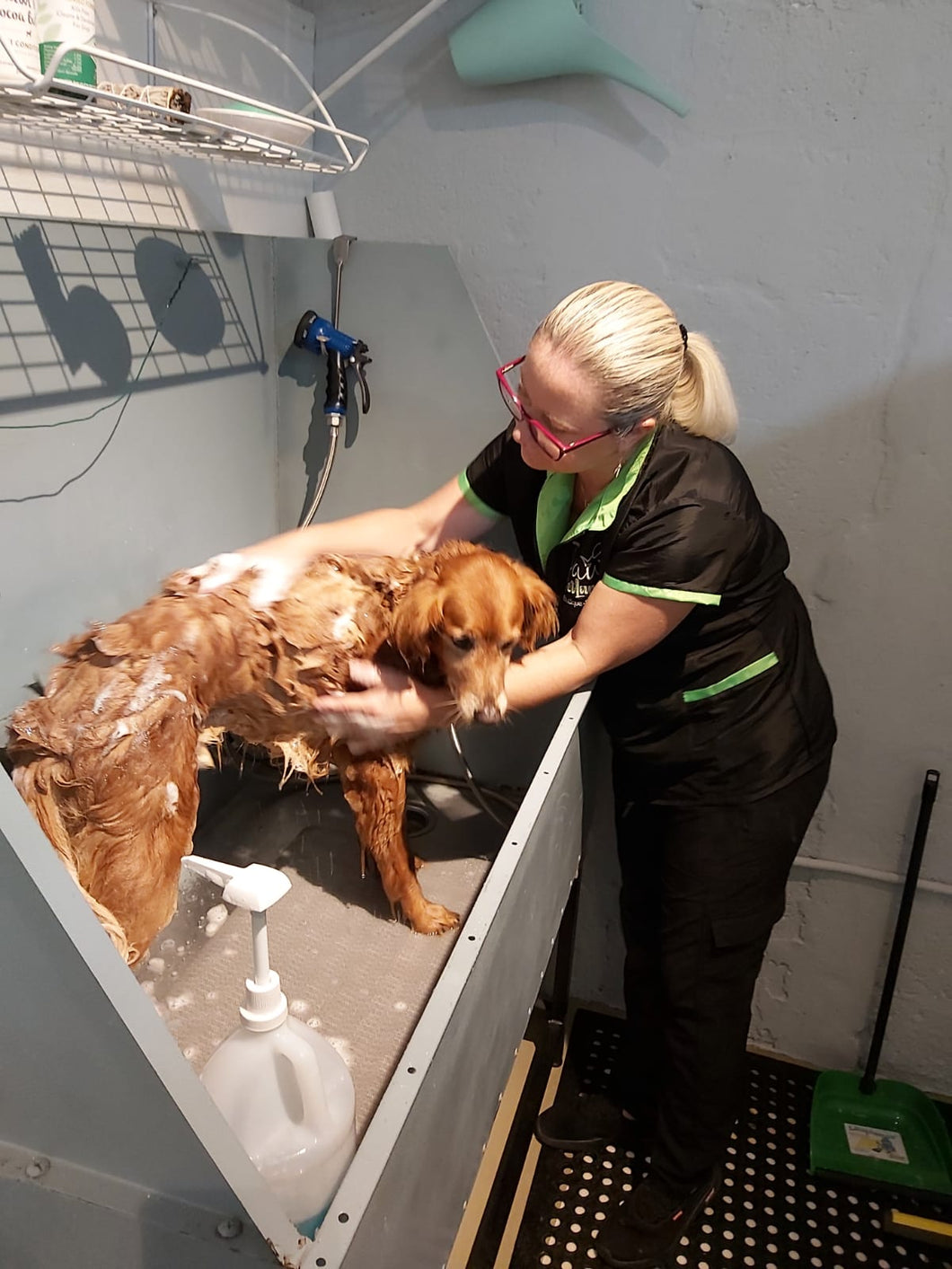 Dog Aromatherapy Bath
