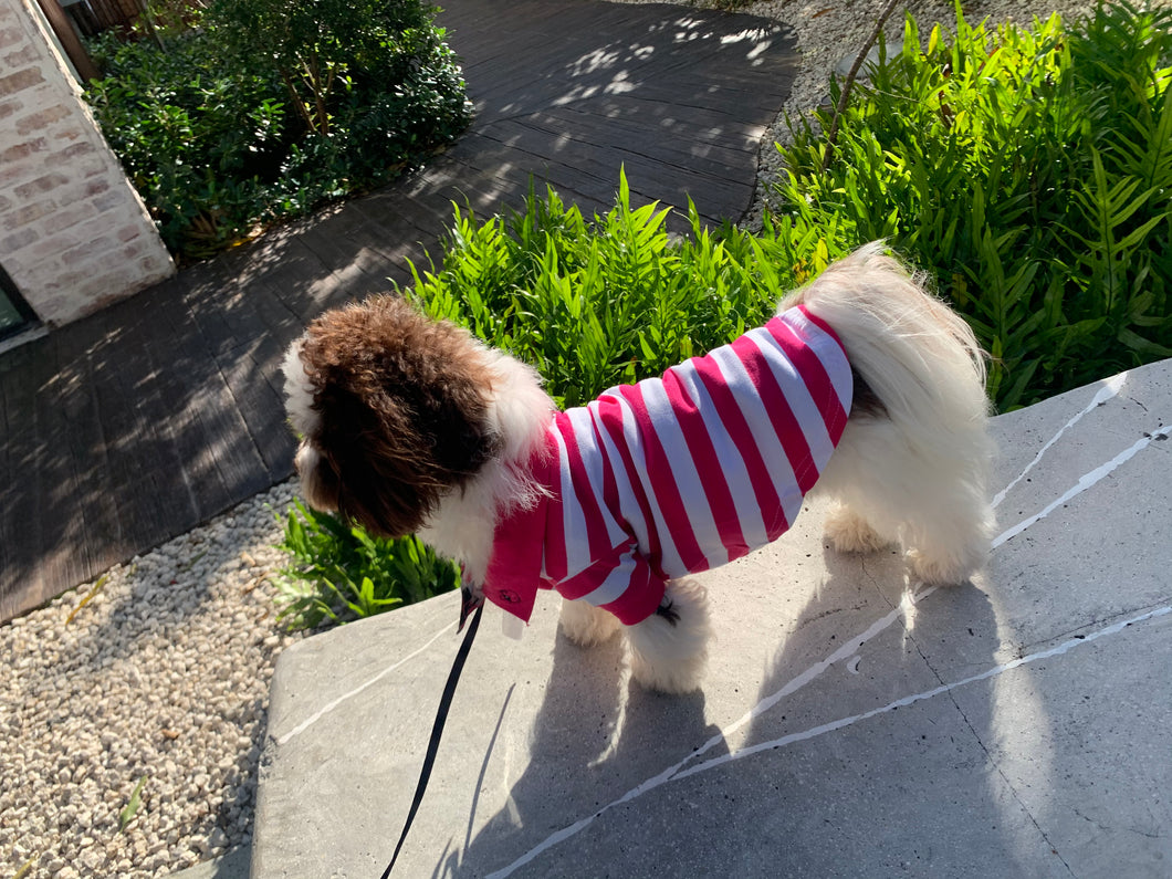 Striped Dog Polo Pink and White